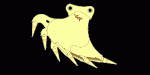 DigNRip Bucket for excavators and backhoes