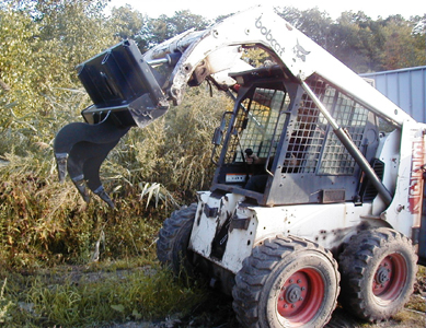 Best skid steer for the money